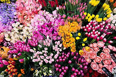 索尼在CMA声明中承认微软XGP领先于PS Plus