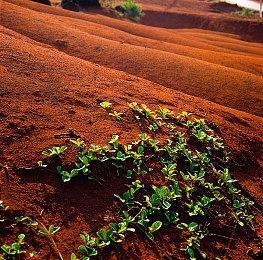全网寻最全能玩家，与人皇Sky同台竞技！KK官方对战平台GG全能王挑战赛燃情启幕！